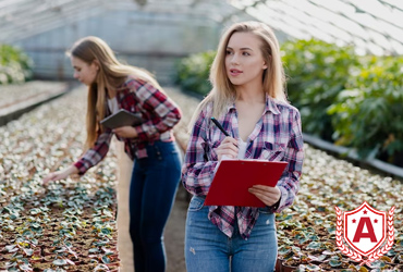 Study Farming in Germany