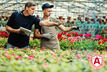 Study Horticultural Sciences in Germany