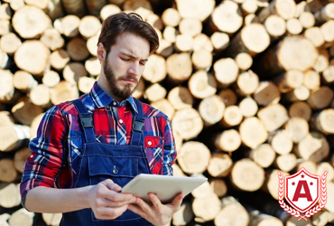 Study Timber Management in Germany