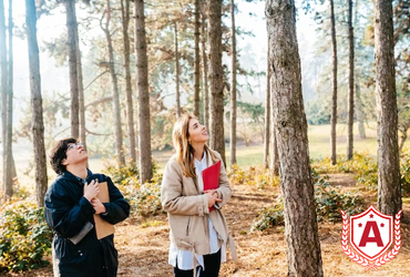 MS in Forest Management in Germany