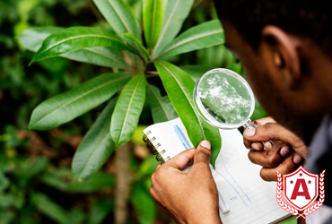 Study Agriculture and Forest Science in Germany