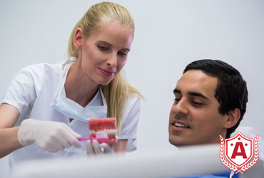 Study Dentistry in Germany