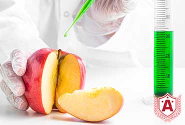 Study Food Sciences in Austria